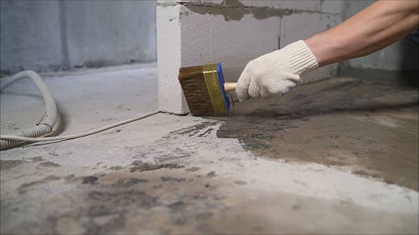 SJ Waterproofing Pros Waterproofing coverage map for Alto, MI and surrounding area